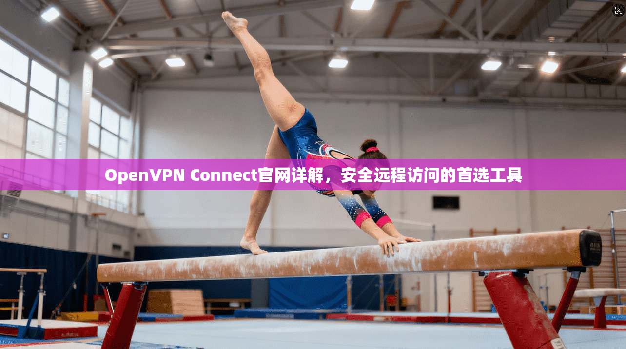 OpenVPN Connect官网详解，安全远程访问的首选工具  第1张
