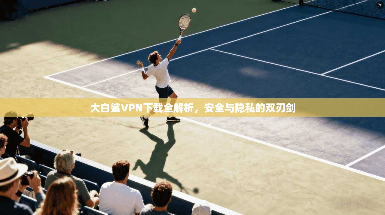 大白鲨VPN下载全解析，安全与隐私的双刃剑  第1张