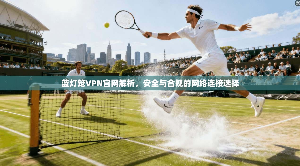 蓝灯笼VPN官网解析，安全与合规的网络连接选择  第1张