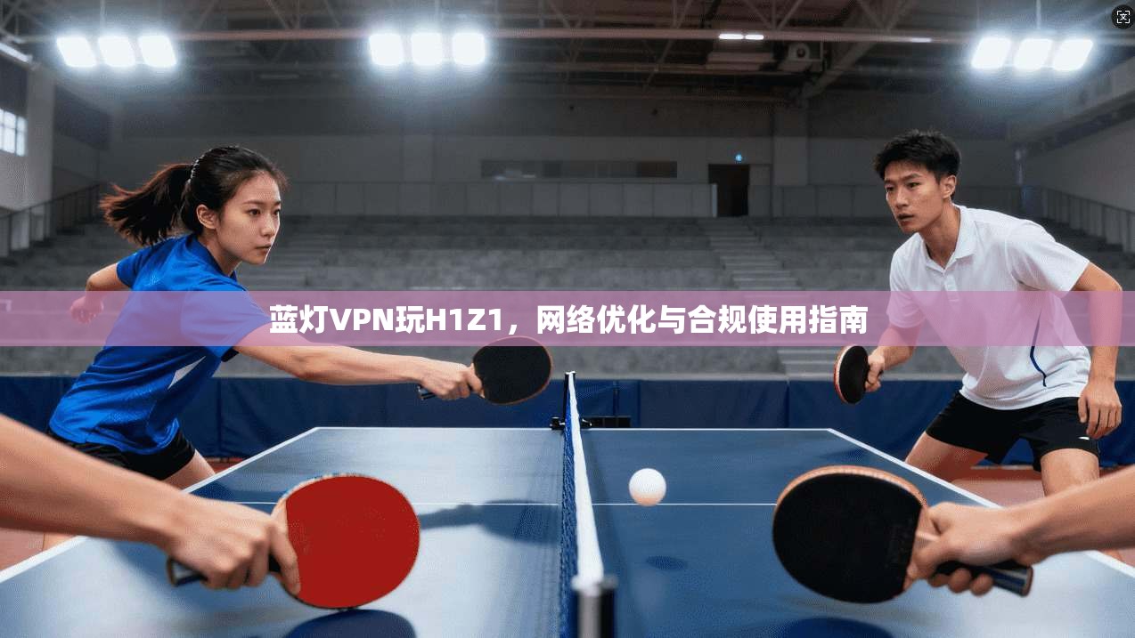 蓝灯VPN玩H1Z1，网络优化与合规使用指南  第1张
