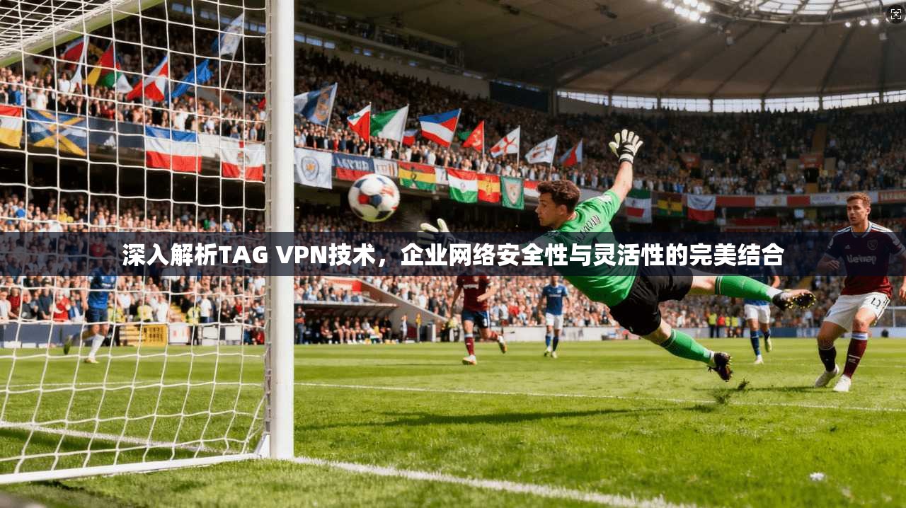 深入解析TAG VPN技术，企业网络安全性与灵活性的完美结合  第1张