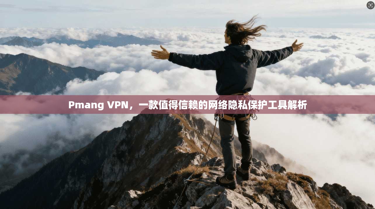 Pmang VPN，一款值得信赖的网络隐私保护工具解析  第1张