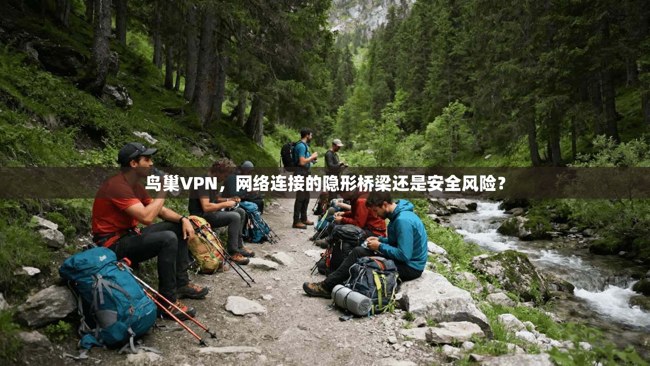 鸟巢VPN，网络连接的隐形桥梁还是安全风险？  第1张