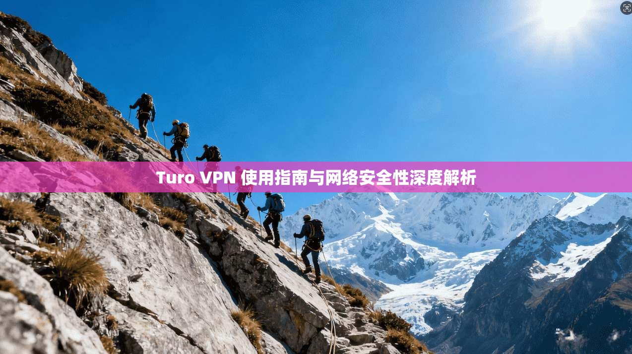 Turo VPN 使用指南与网络安全性深度解析  第1张