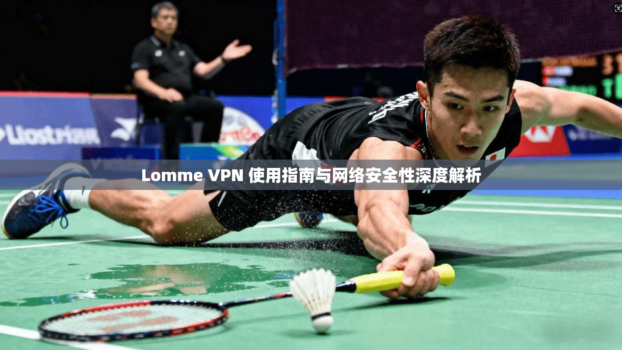 Lomme VPN 使用指南与网络安全性深度解析  第1张