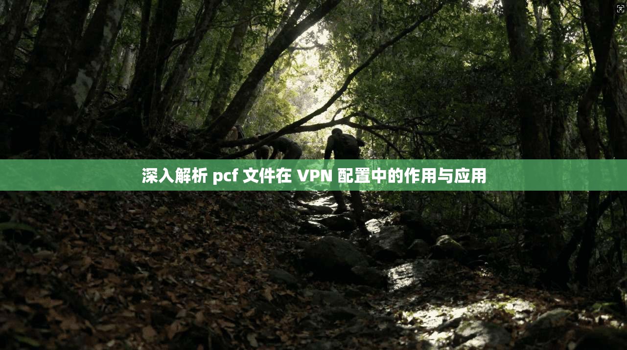 深入解析 pcf 文件在 VPN 配置中的作用与应用  第1张