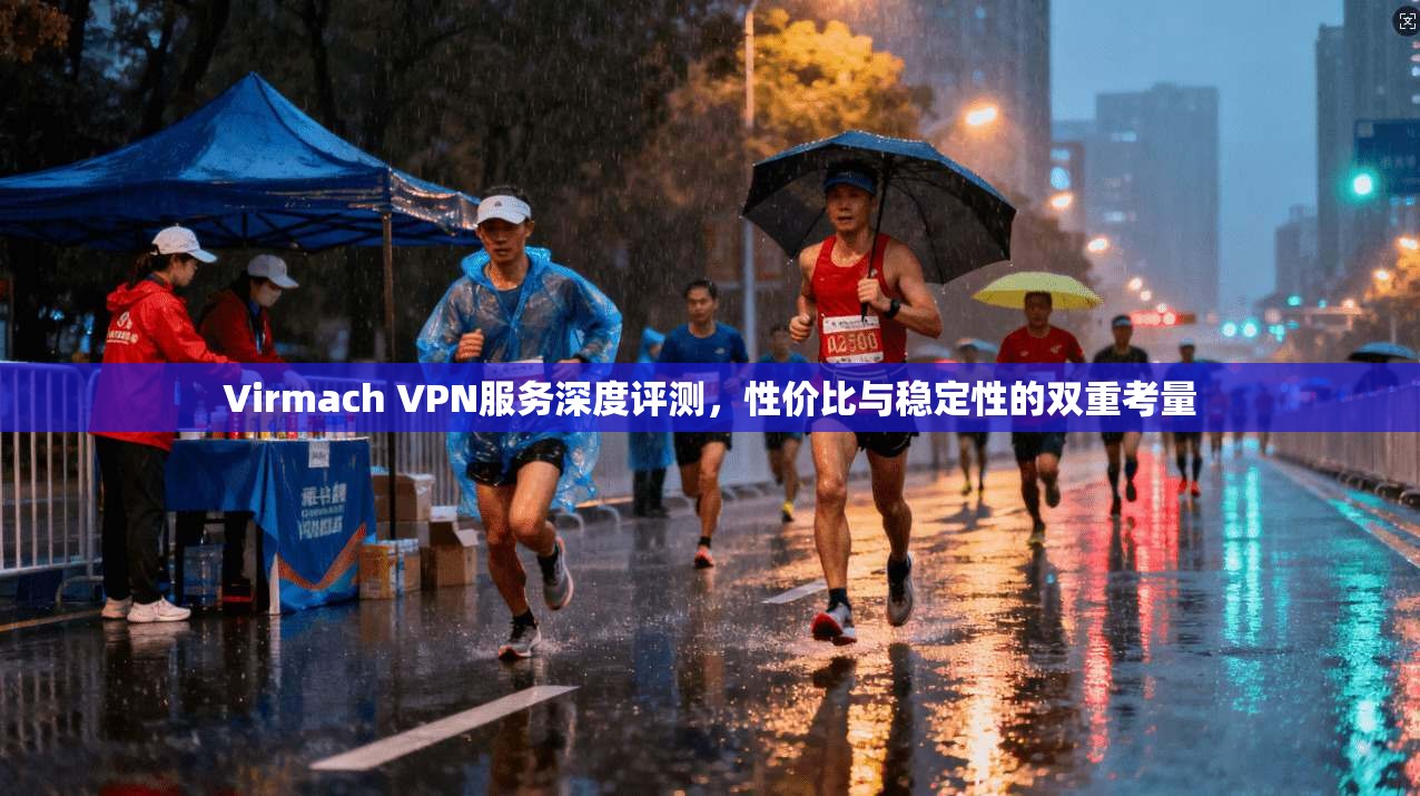 Virmach VPN服务深度评测，性价比与稳定性的双重考量  第1张