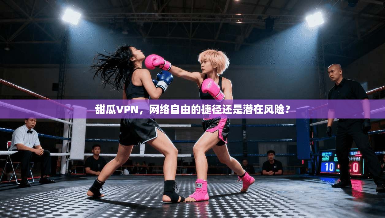 甜瓜VPN，网络自由的捷径还是潜在风险？  第1张
