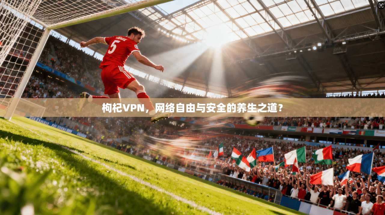 枸杞VPN，网络自由与安全的养生之道？  第1张