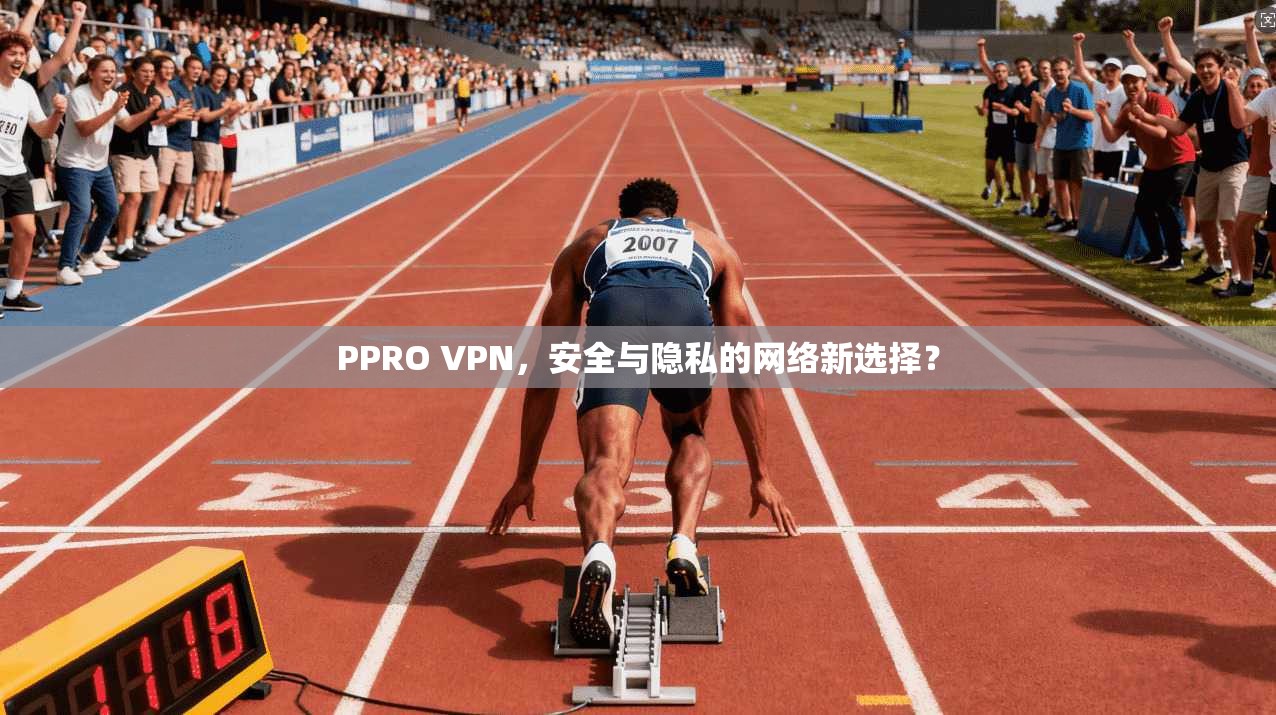 PPRO VPN，安全与隐私的网络新选择？  第1张