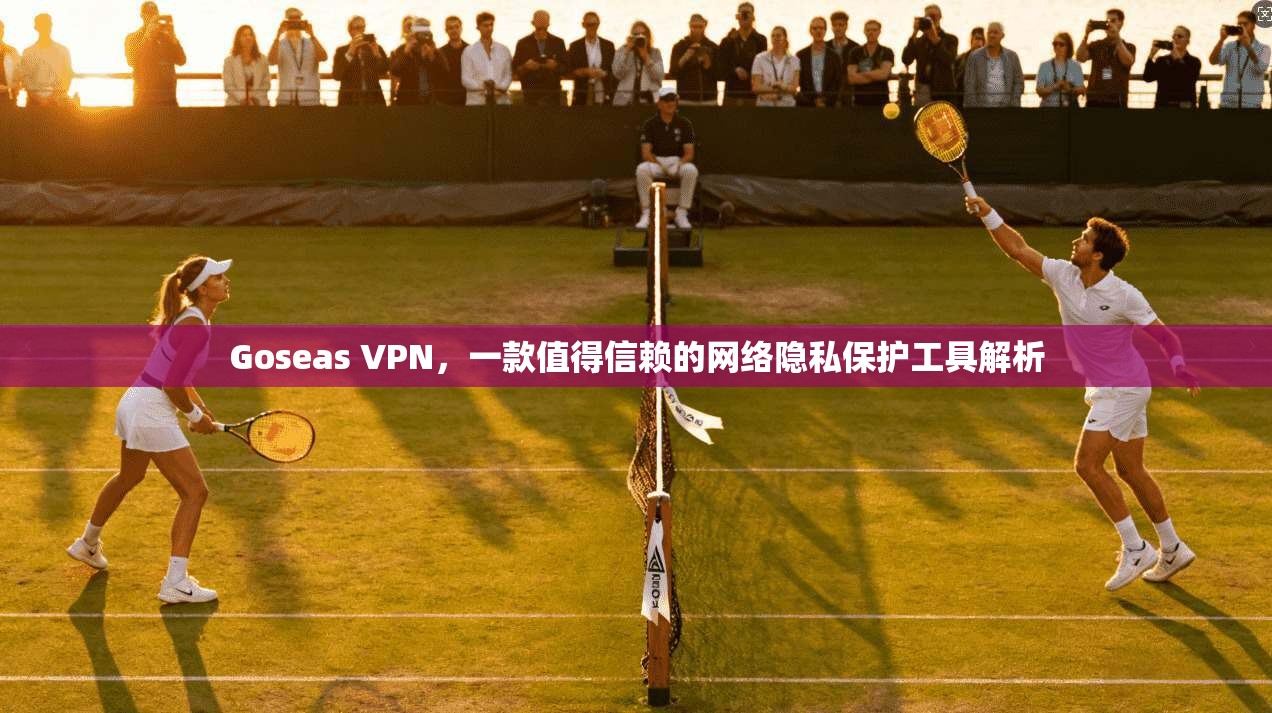 Goseas VPN，一款值得信赖的网络隐私保护工具解析  第1张