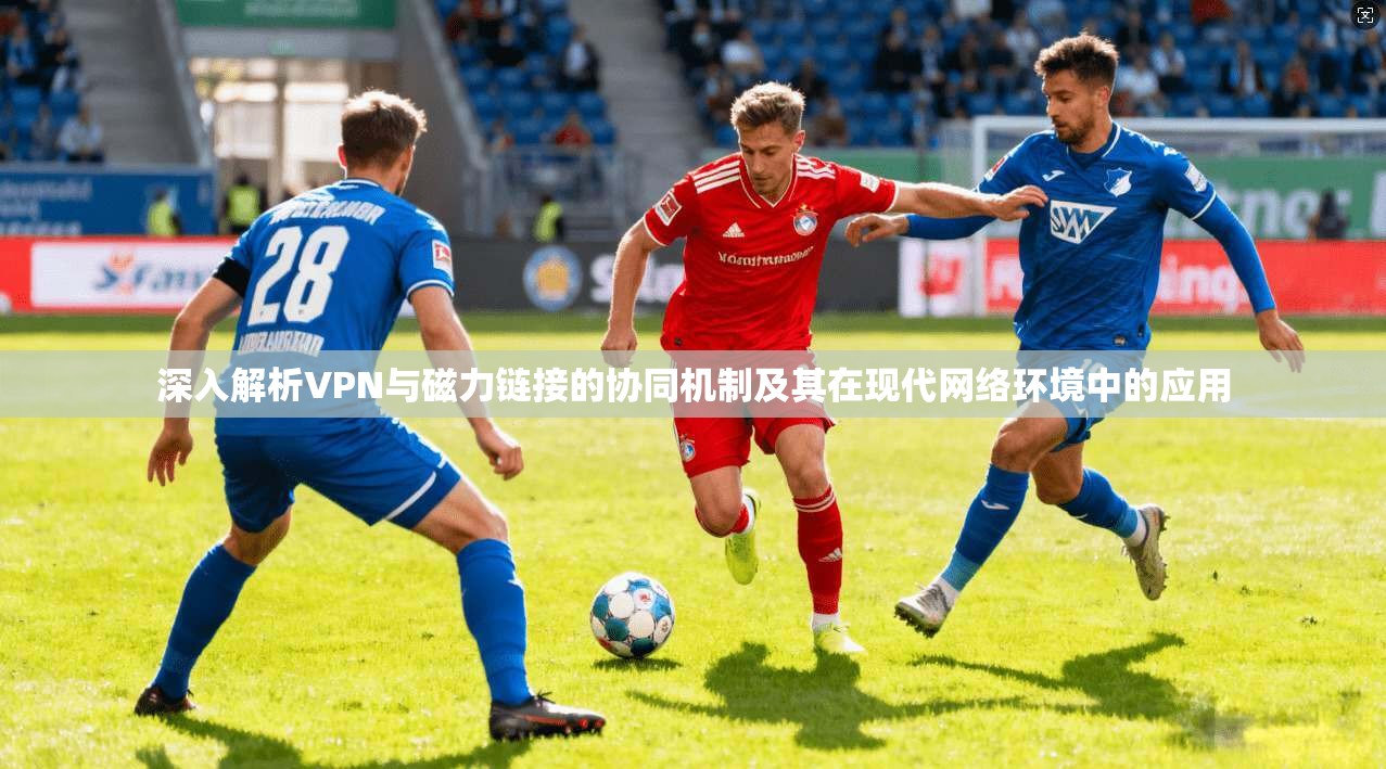 深入解析VPN与磁力链接的协同机制及其在现代网络环境中的应用  第1张