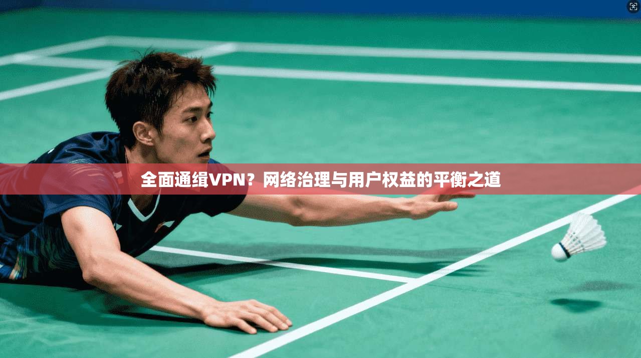全面通缉VPN？网络治理与用户权益的平衡之道  第1张