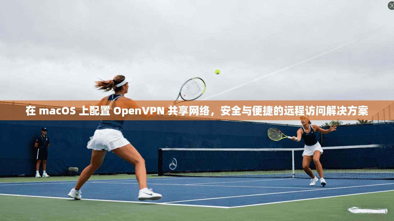 在 macOS 上配置 OpenVPN 共享网络，安全与便捷的远程访问解决方案  第1张