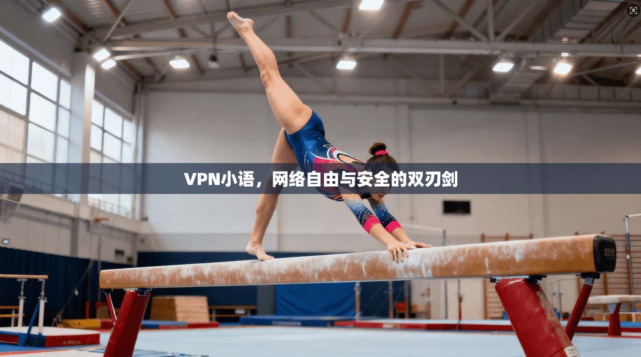 VPN小语，网络自由与安全的双刃剑  第1张