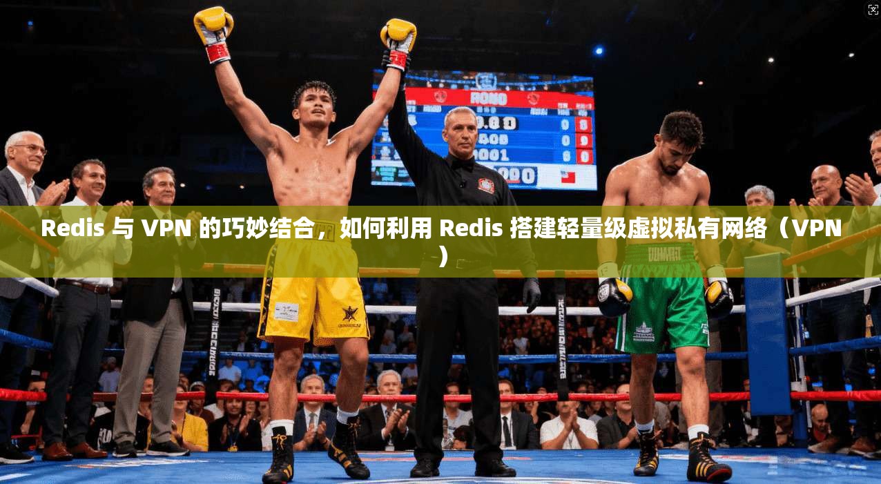 Redis 与 VPN 的巧妙结合，如何利用 搭建轻量级虚拟私有网络（VPN）  第1张