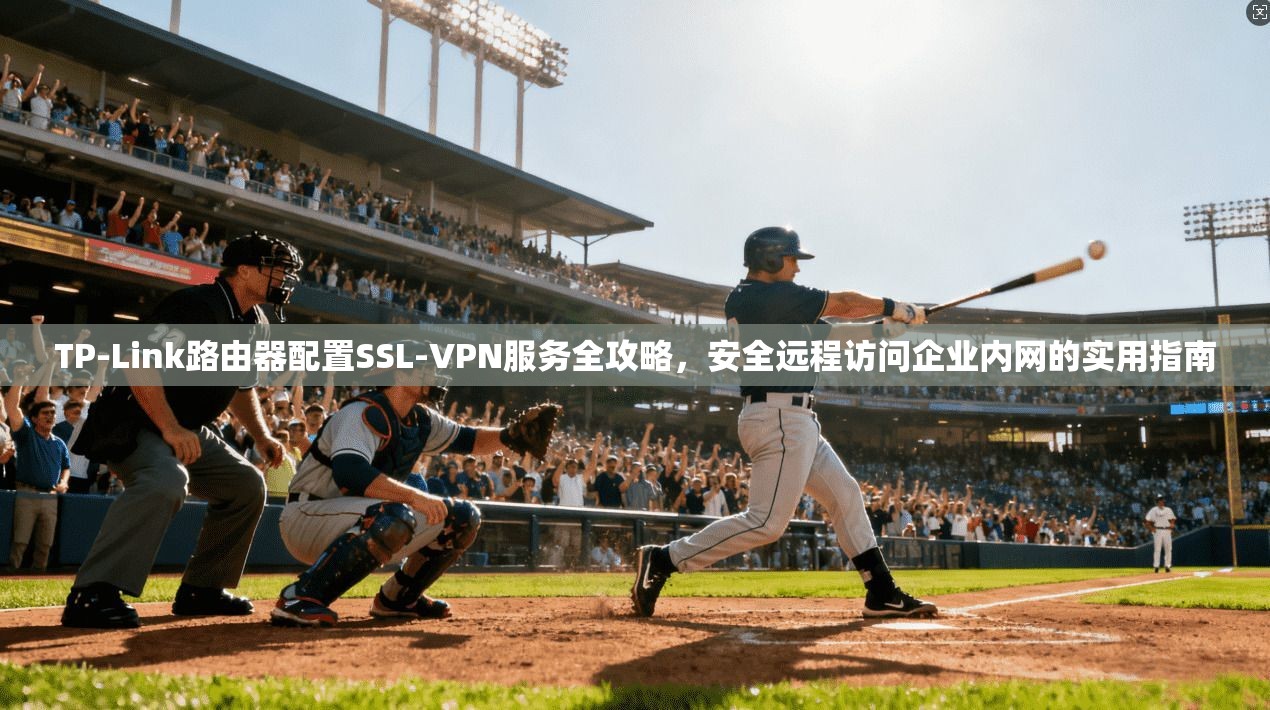 TP-Link路由器配置SSL-VPN服务全攻略，安全远程访问企业内网的实用指南  第1张
