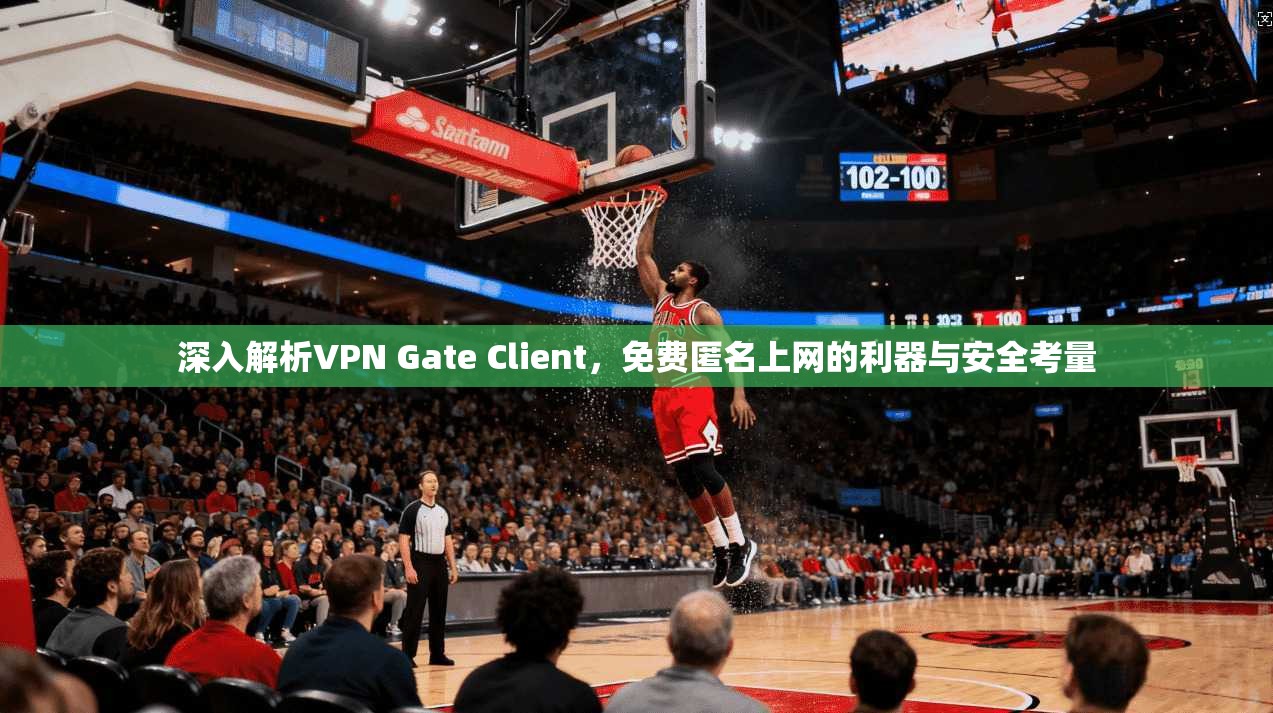 深入解析VPN Gate Client，免费匿名上网的利器与安全考量  第1张