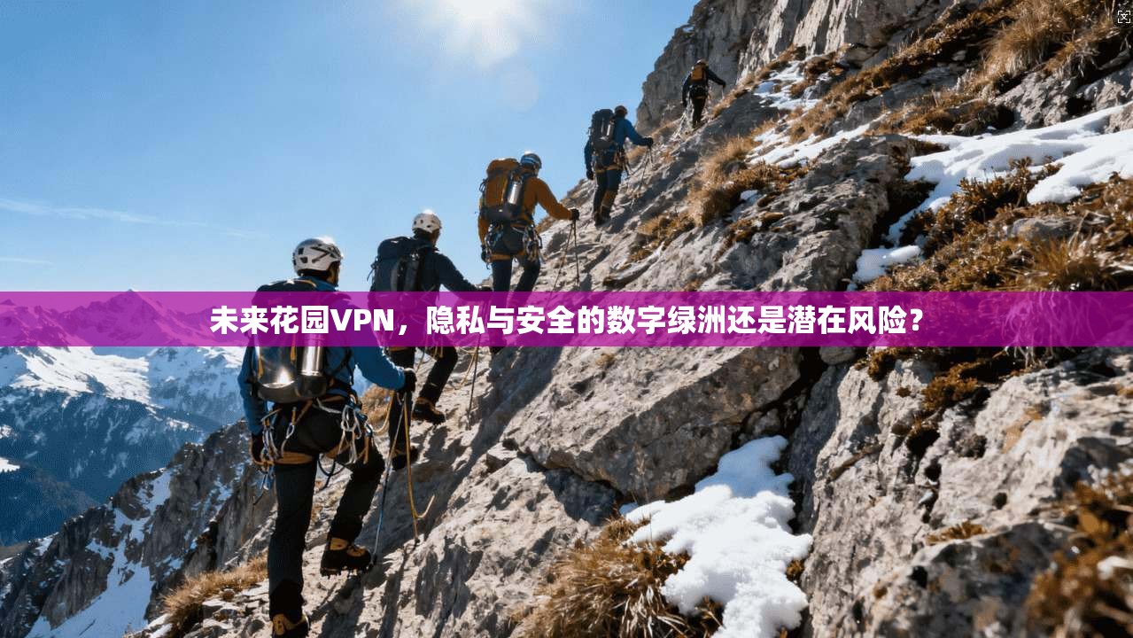 未来花园VPN，隐私与安全的数字绿洲还是潜在风险？  第1张