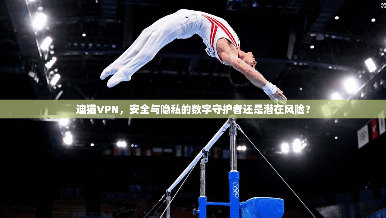 迪猫VPN，安全与隐私的数字守护者还是潜在风险？  第1张