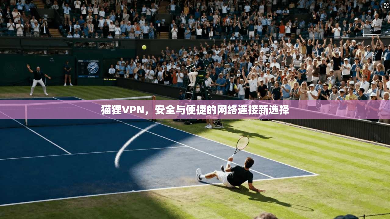 猫狸VPN，安全与便捷的网络连接新选择  第1张