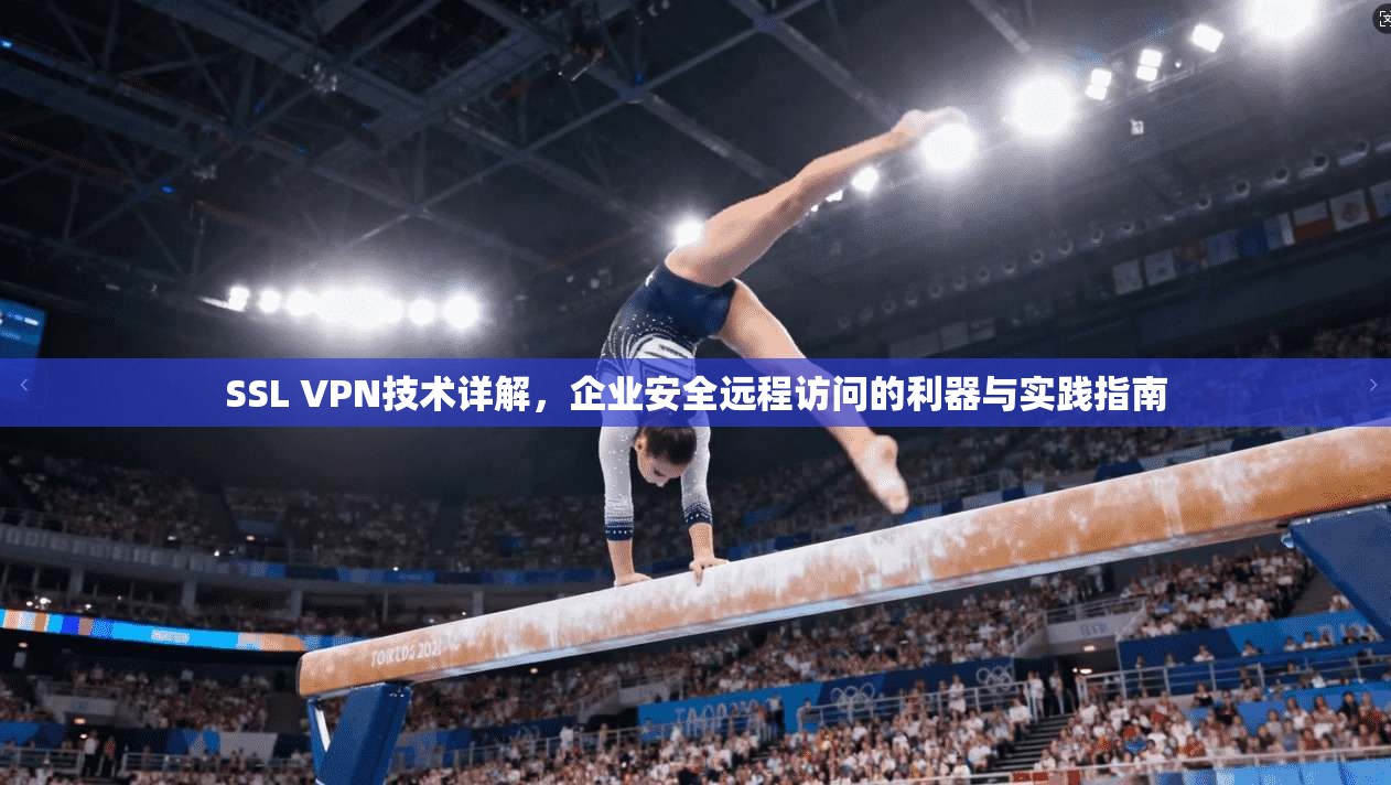 SSL VPN技术详解，企业安全远程访问的利器与实践指南  第1张