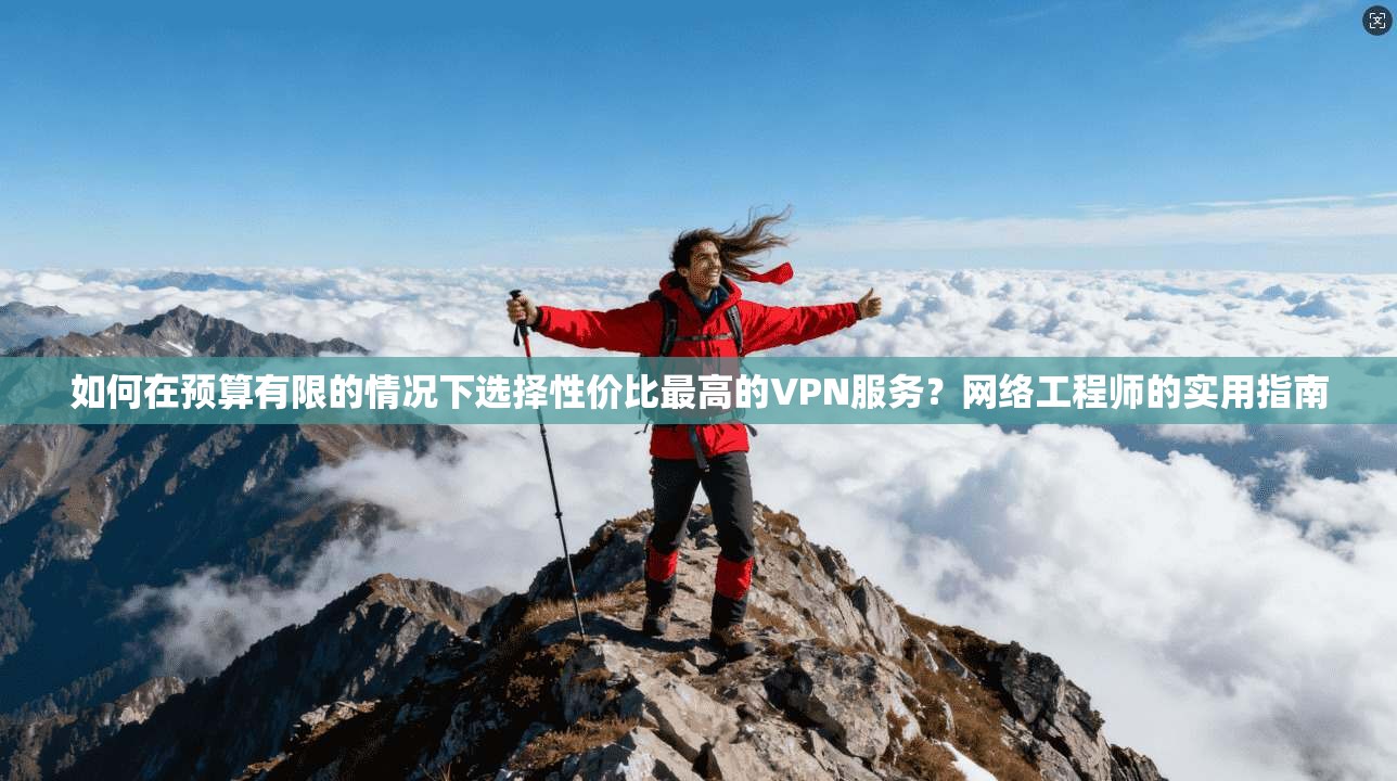 如何在预算有限的情况下选择性价比最高的VPN服务？网络工程师的实用指南  第1张
