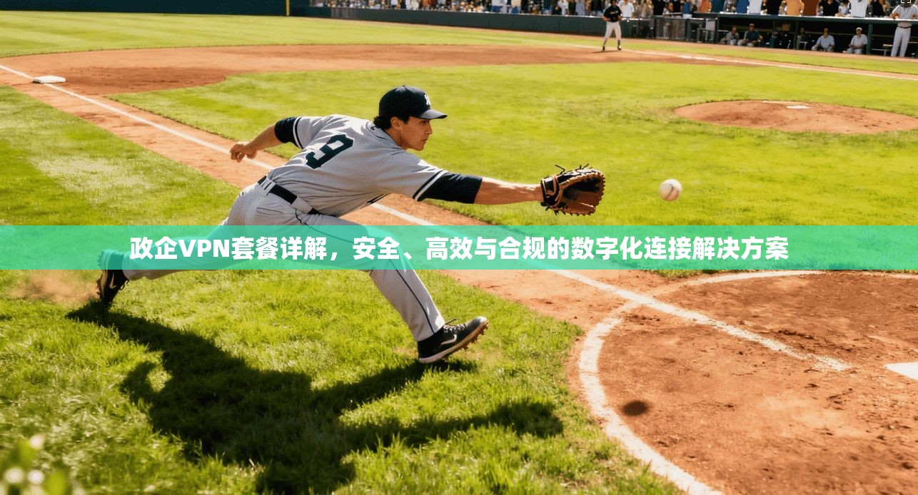 政企VPN套餐详解，安全、高效与合规的数字化连接解决方案  第1张