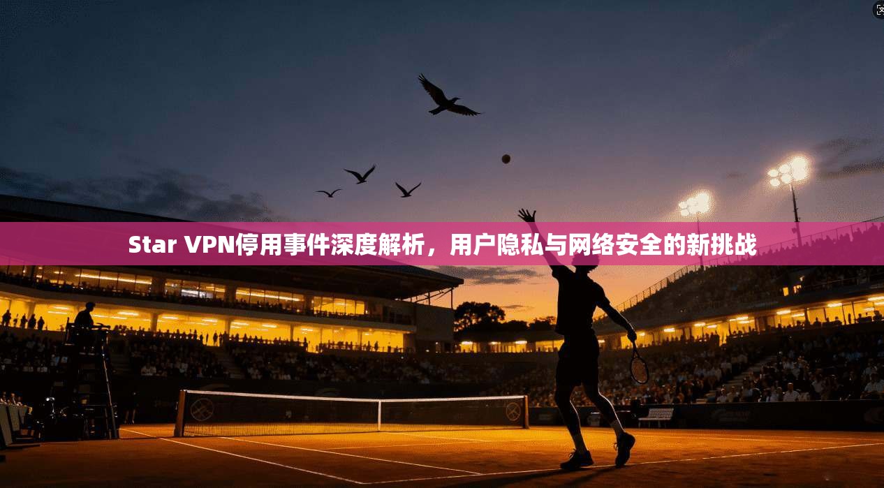 Star VPN停用事件深度解析，用户隐私与网络安全的新挑战  第1张