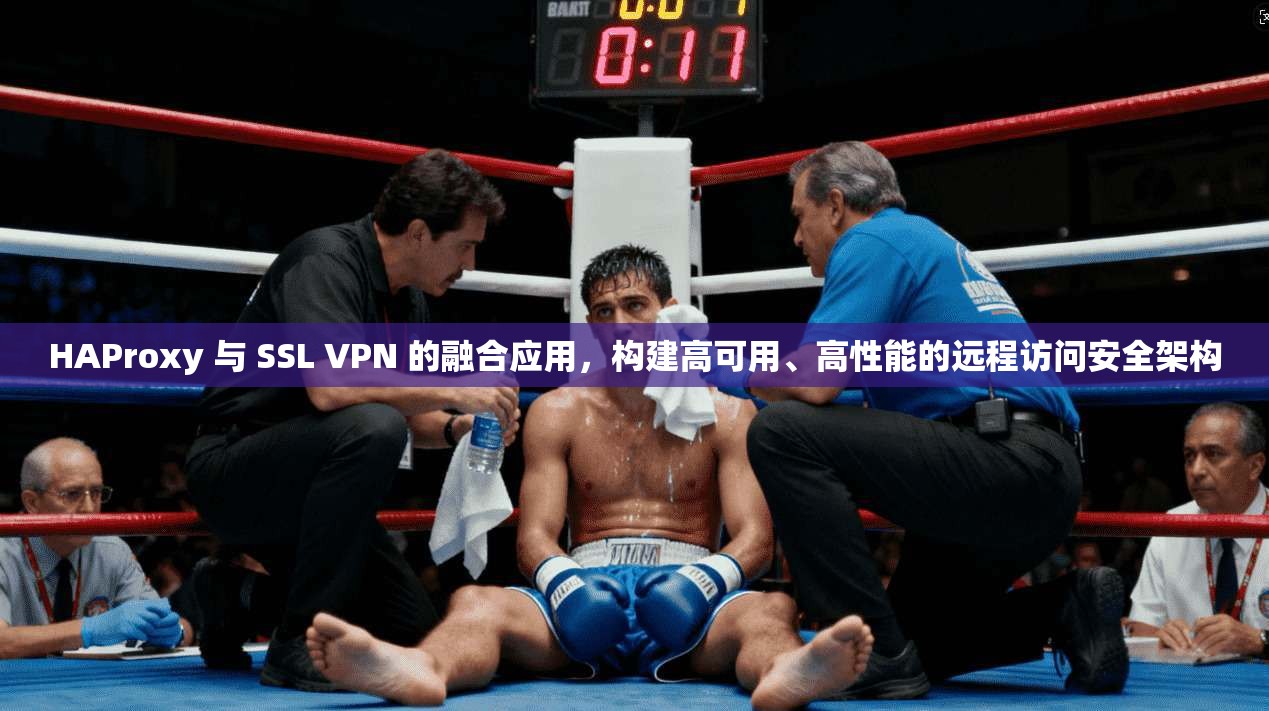 HAProxy 与 SSL VPN 的融合应用，构建高可用、高性能的远程访问安全架构  第1张
