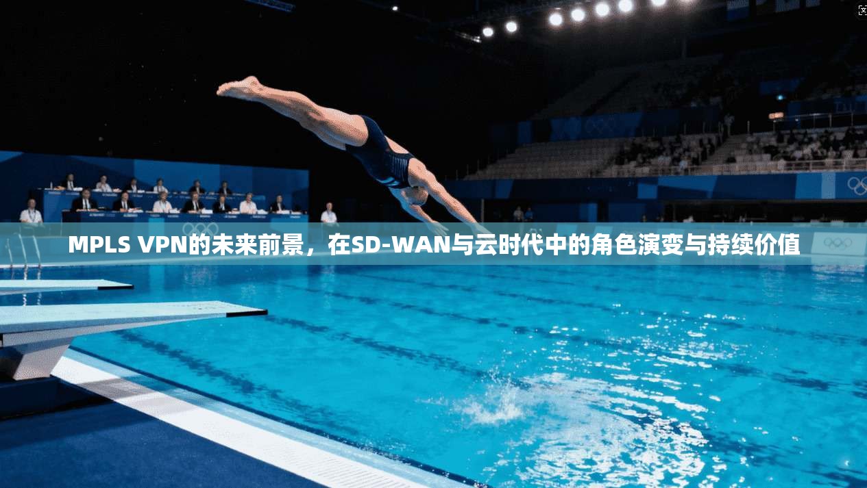 MPLS VPN的未来前景，在SD-WAN与云时代中的角色演变与持续价值  第1张