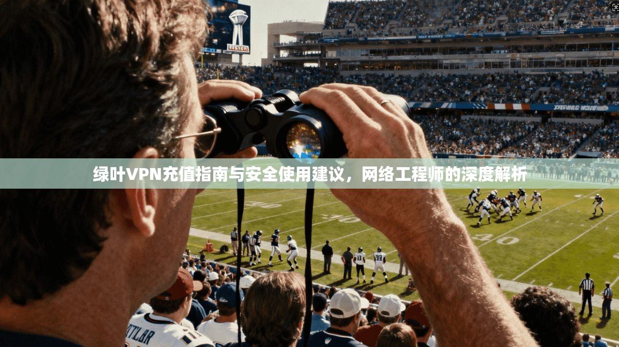 绿叶VPN充值指南与安全使用建议，网络工程师的深度解析  第1张