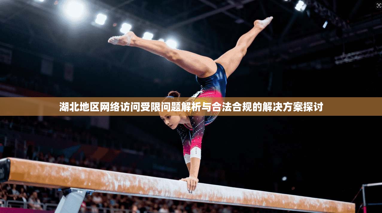 湖北地区网络访问受限问题解析与合法合规的解决方案探讨  第1张