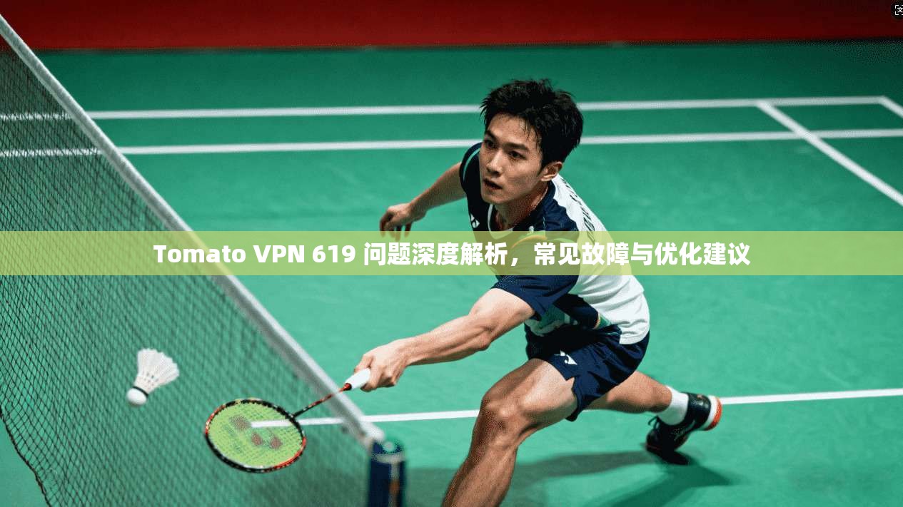 Tomato VPN 619 问题深度解析，常见故障与优化建议  第1张