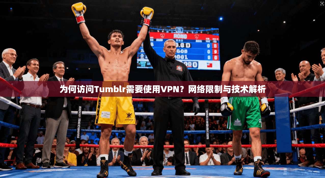 为何访问Tumblr需要使用VPN？网络限制与技术解析  第1张
