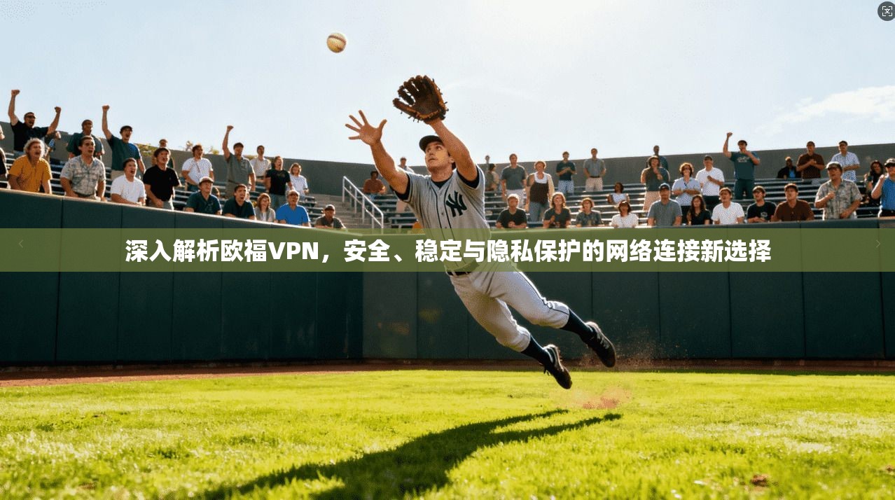 深入解析欧福VPN，安全、稳定与隐私保护的网络连接新选择  第1张