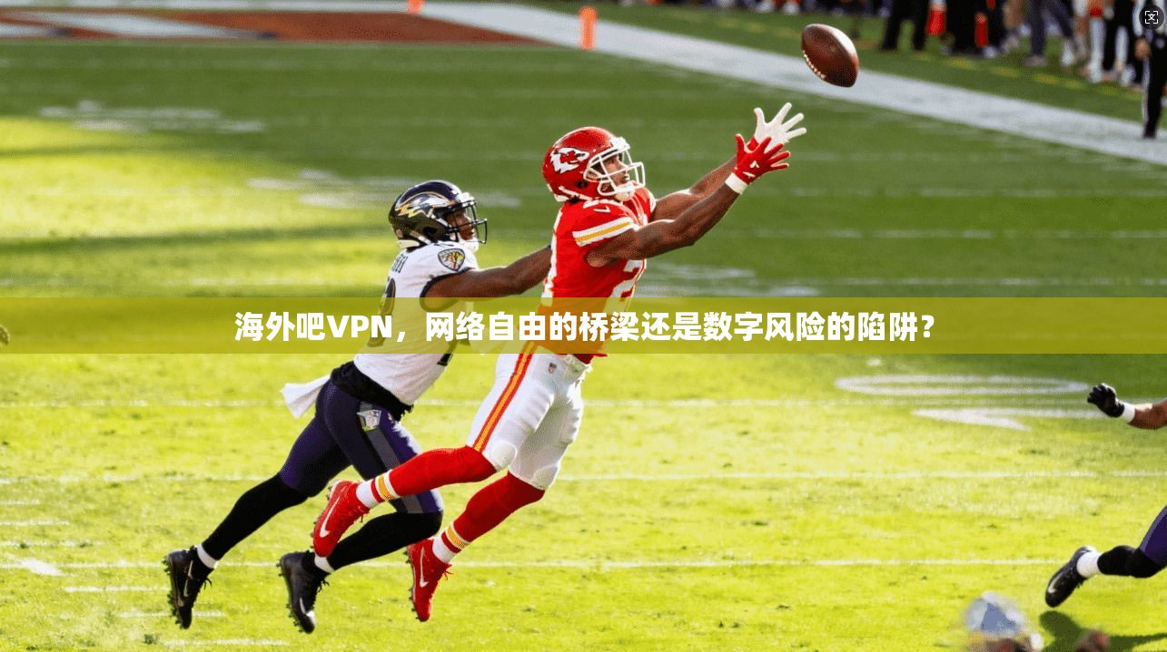 海外吧VPN，网络自由的桥梁还是数字风险的陷阱？  第1张