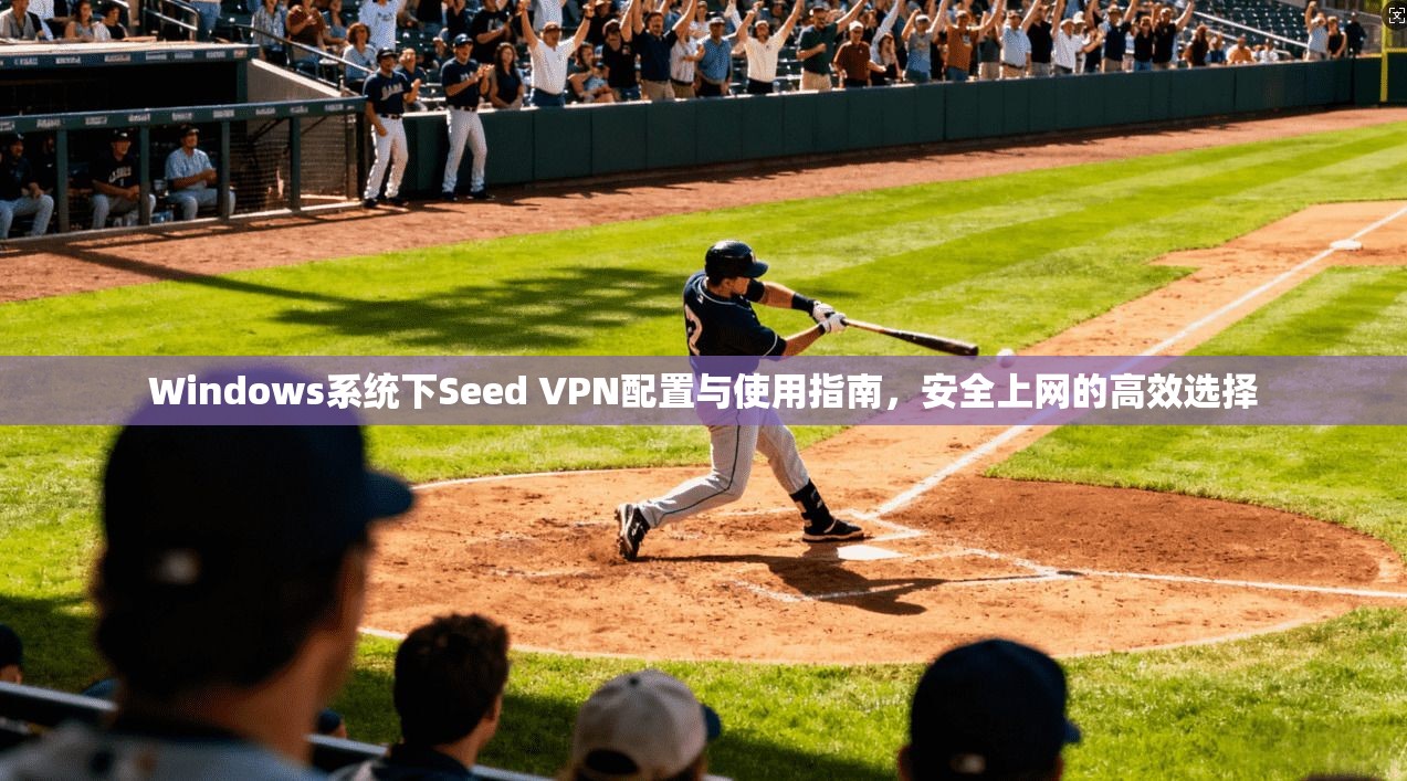 Windows系统下Seed VPN配置与使用指南，安全上网的高效选择  第1张