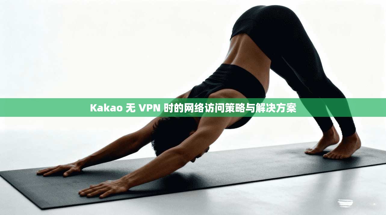 Kakao 无 VPN 时的网络访问策略与解决方案  第1张
