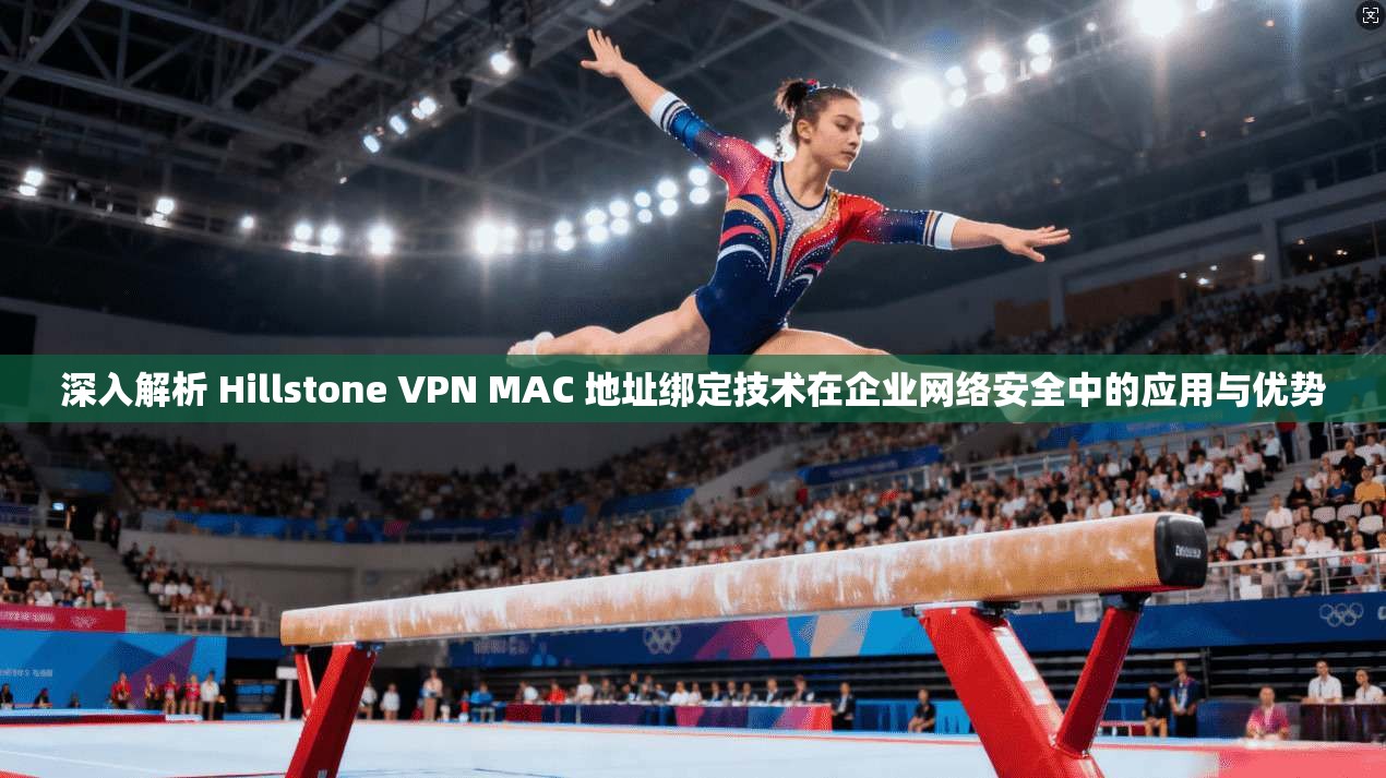 深入解析 Hillstone VPN MAC 地址绑定技术在企业网络安全中的应用与优势  第1张