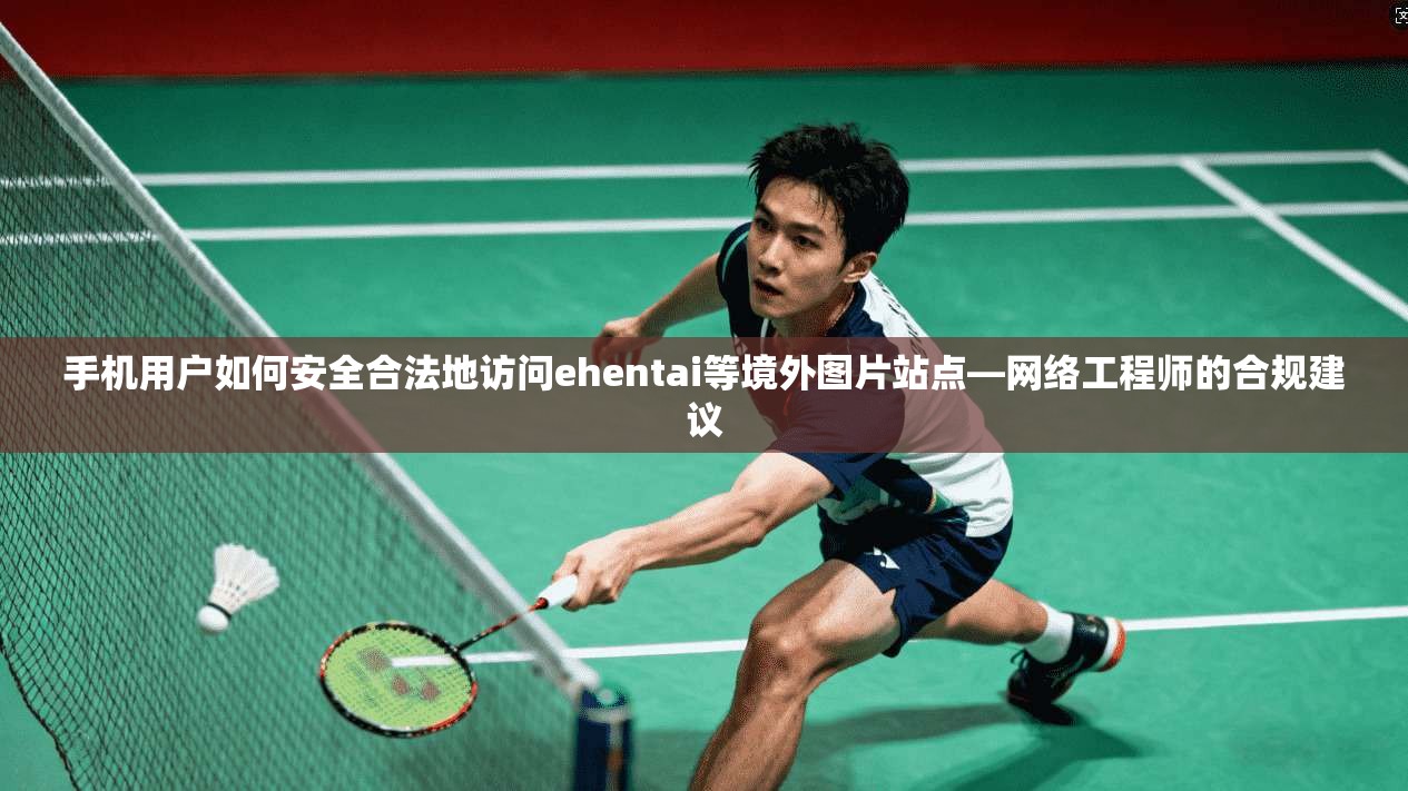 手机用户如何安全合法地访问ehentai等境外图片站点—网络工程师的合规建议  第1张