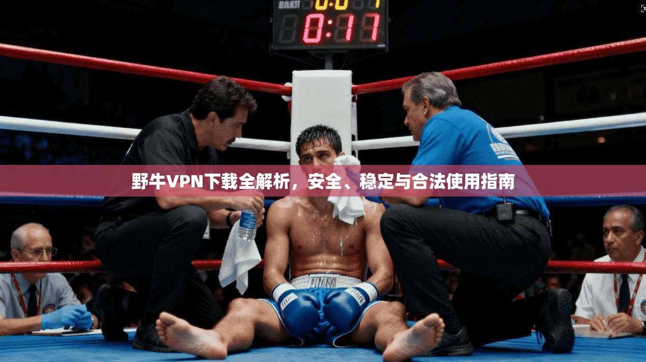 野牛VPN下载全解析，安全、稳定与合法使用指南  第1张