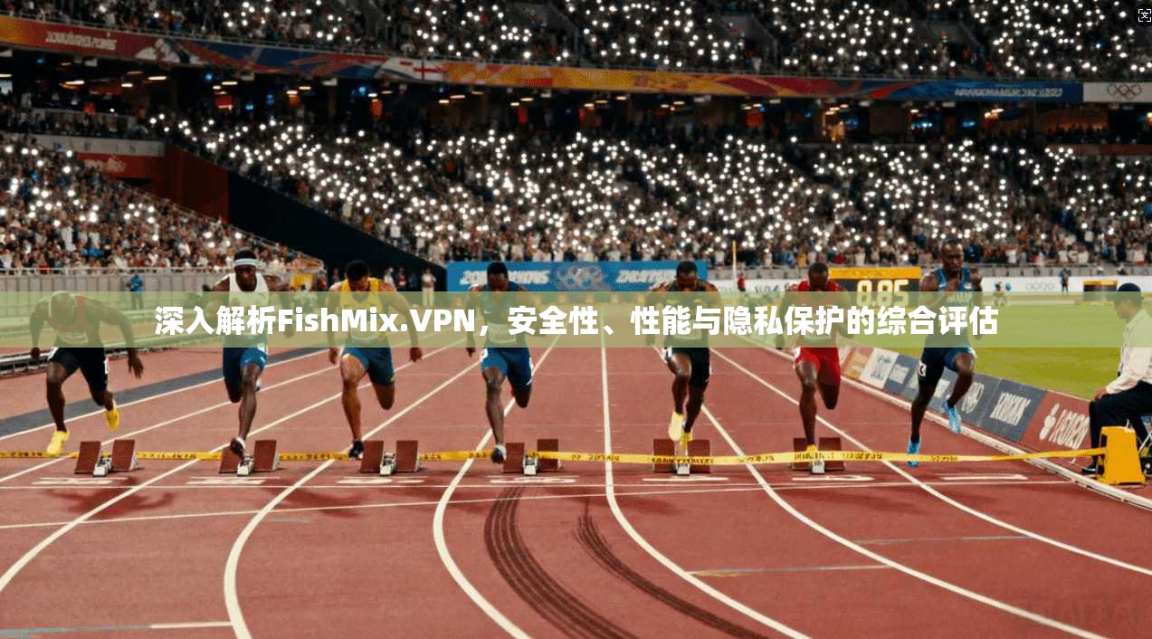 深入解析FishMix.VPN，安全性、性能与隐私保护的综合评估  第1张