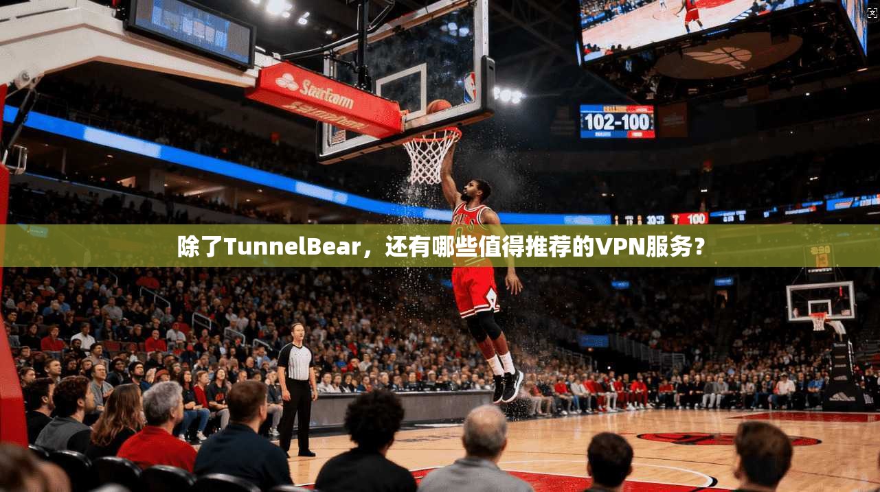 除了TunnelBear，还有哪些值得推荐的VPN服务？  第1张