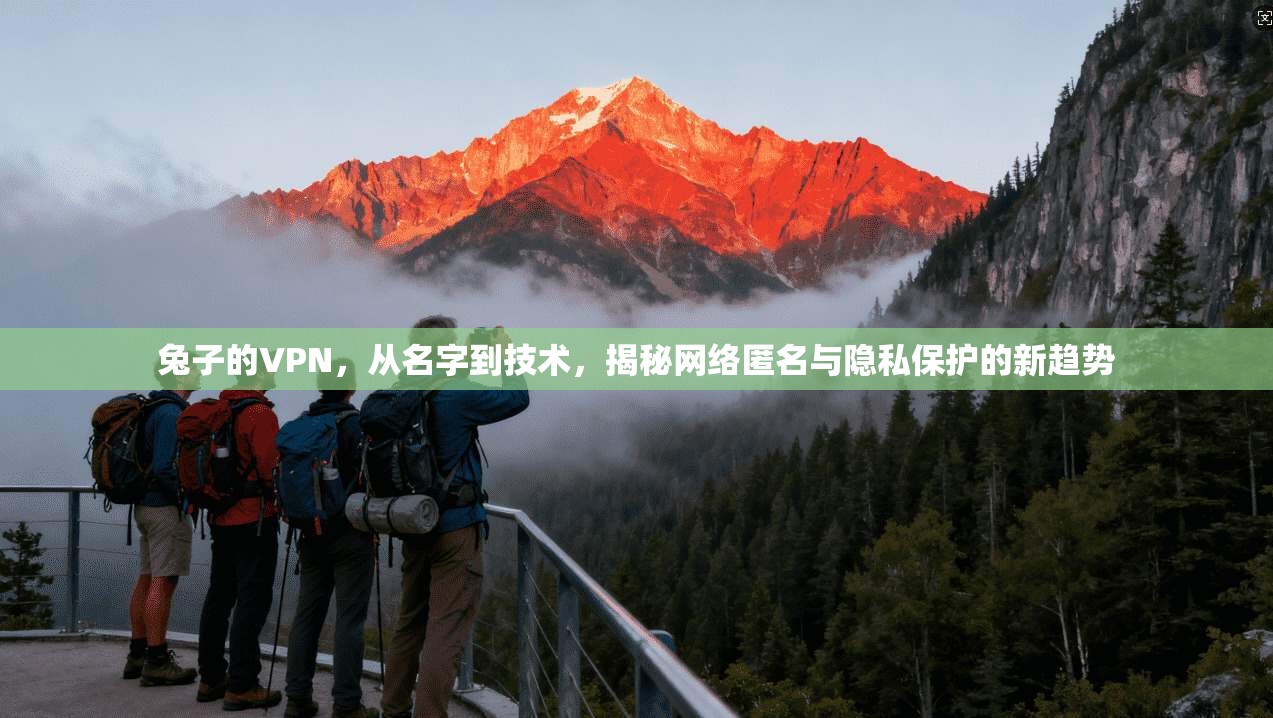 兔子的VPN，从名字到技术，揭秘网络匿名与隐私保护的新趋势  第1张