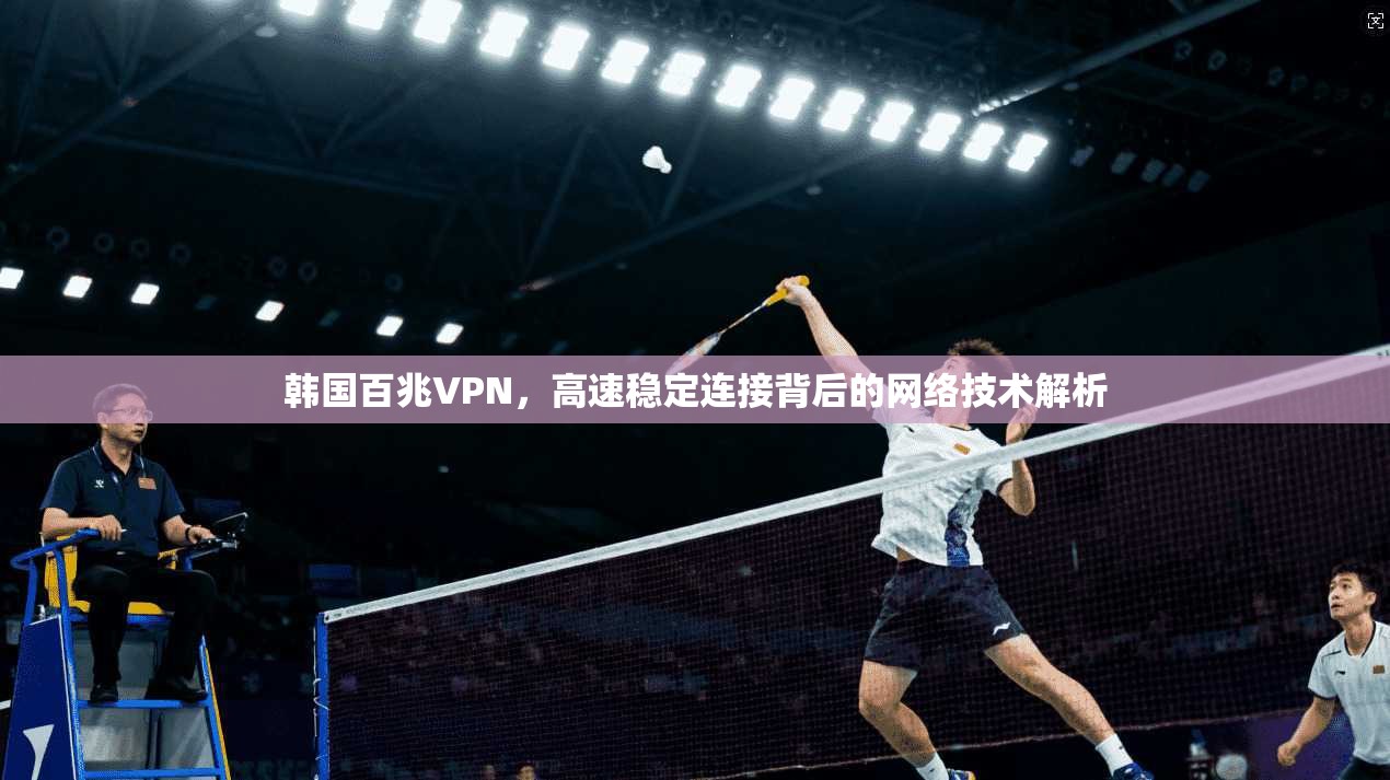 韩国百兆VPN，高速稳定连接背后的网络技术解析  第1张