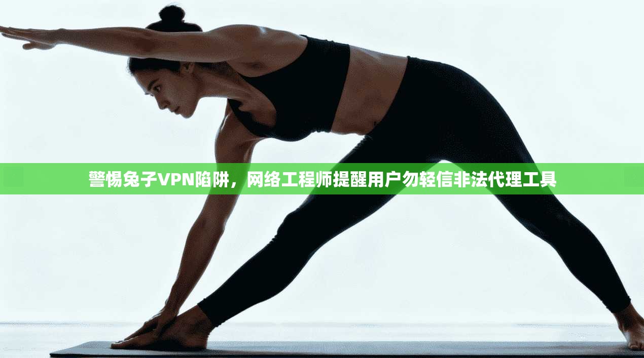 警惕兔子VPN陷阱，网络工程师提醒用户勿轻信非法代理工具  第1张