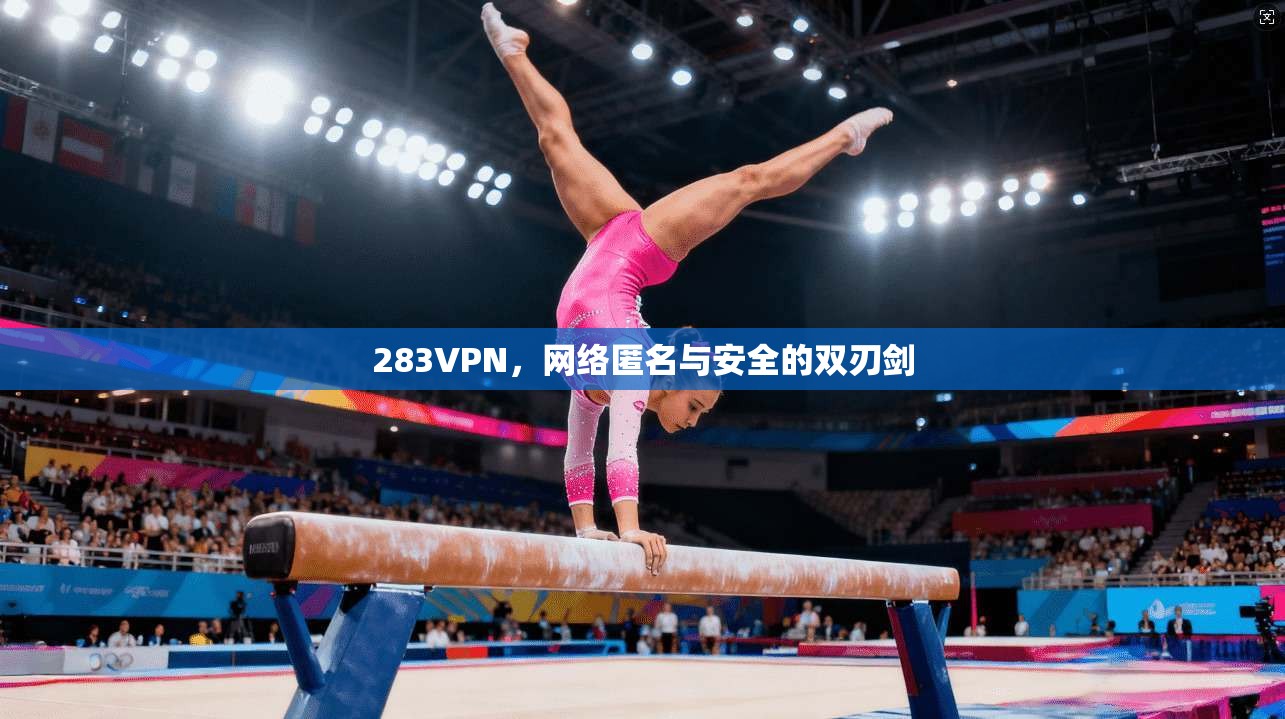 283VPN，网络匿名与安全的双刃剑  第1张