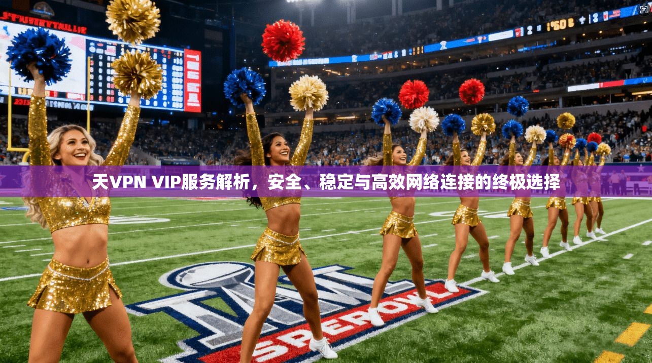 天VPN VIP服务解析，安全、稳定与高效网络连接的终极选择  第1张