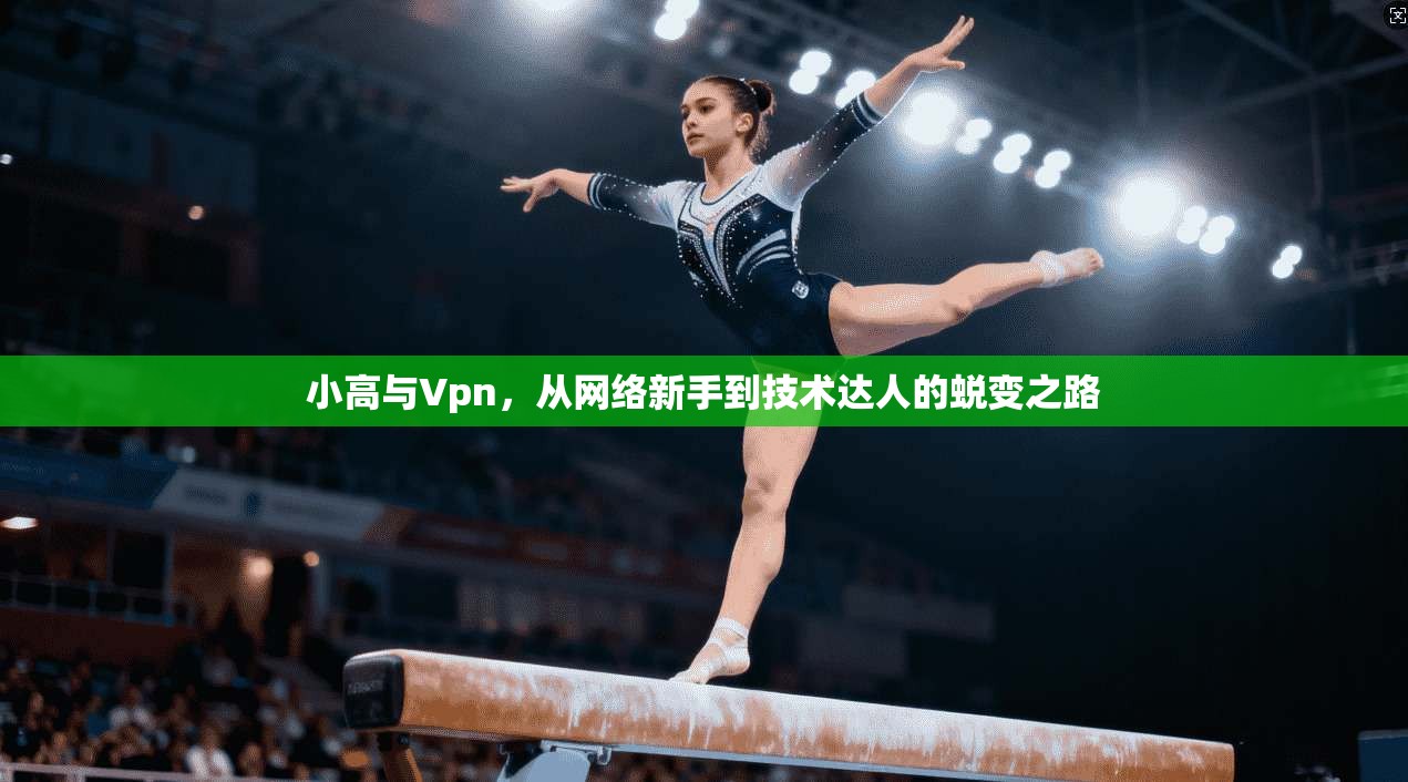 小高与Vpn，从网络新手到技术达人的蜕变之路  第1张